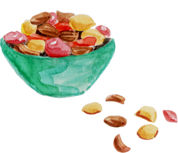 Handpainted Watercolor Mixed Dried Fruits and Nuts Christmas Snack