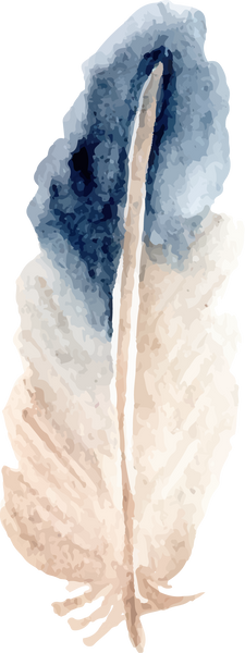 Feather Watercolor Drawing