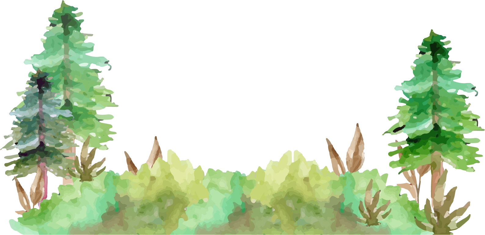 Pine Trees With Grass Watercolor Illustration
